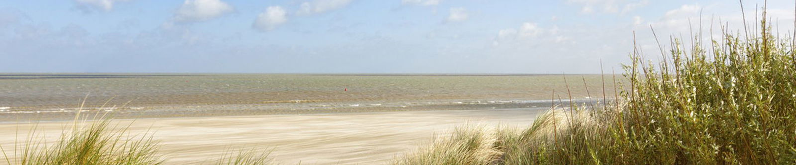 Die Nordsee