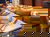 4 Tage Stadttrip nach Chemnitz