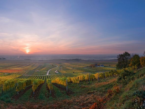 2 Tage Kurzurlaub mit Frühstück im Winrooms Seminar Hotel and Apartments