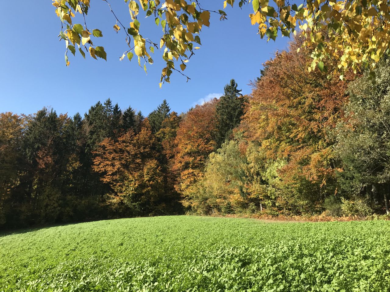 Kurze Auszeit im bayerischen Wald