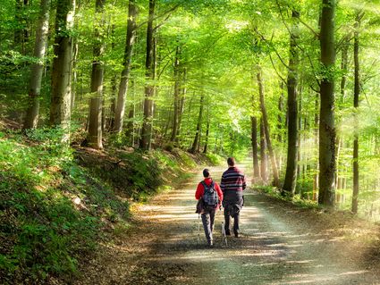 5 romantische Tage im Odenwald+ 1x Abendessen für 2