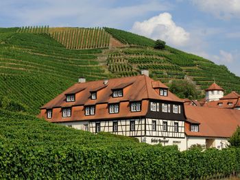 7 Tage Baden-Baden Weinromantik:Schloss, Wein & Liebe