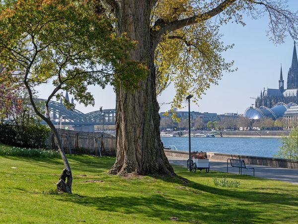 5 Tage im Domstern Hotel mit Frühstück Domstern Hotel in Köln, Nordrhein-Westfalen inkl. Frühstück