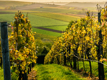 Südburgenland Special