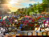 5 Tage in der malerischen Stadt Amsterdam