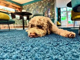 2 Tage im Boutique Hotel Atrium München