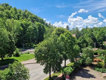 Harz'lich Willkommen - 4 Tage Auszeit im Habichtstein