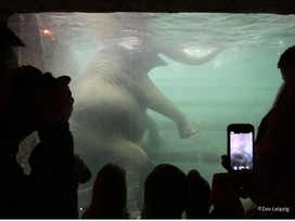 Zoo Leipzig mit Hotel