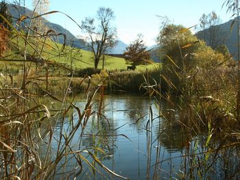 Bild 15 von 15