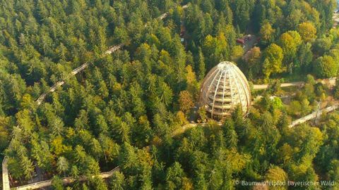 Nationalpark Bayerischer Wald