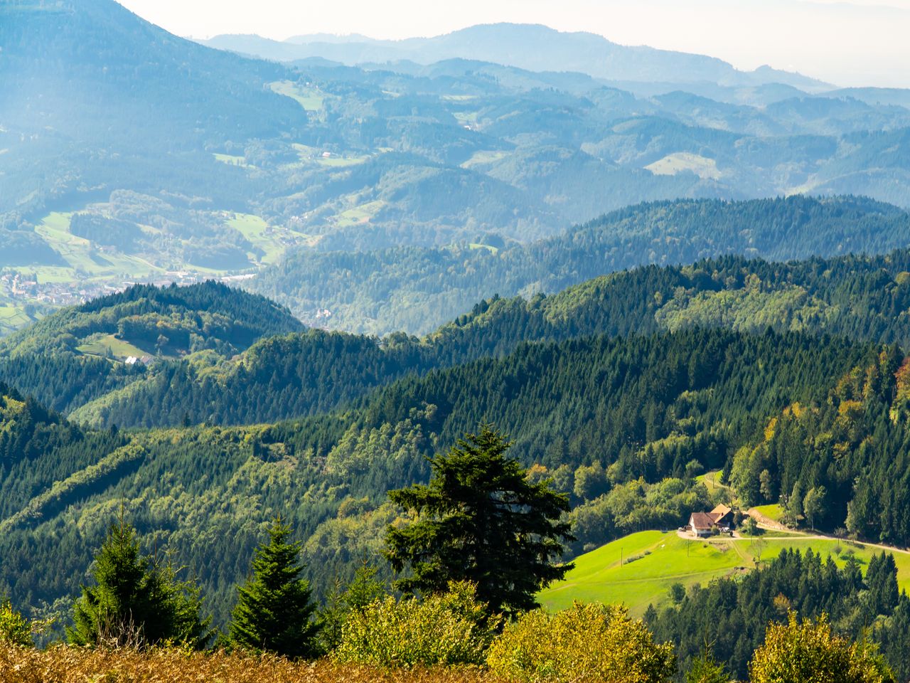 Fern der Hektik im Schwarzwald