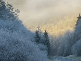 Drei Wellnesstage in der Vulkaneifel & Therme