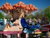 Gardaland Resort mit Hotel und Eintritt