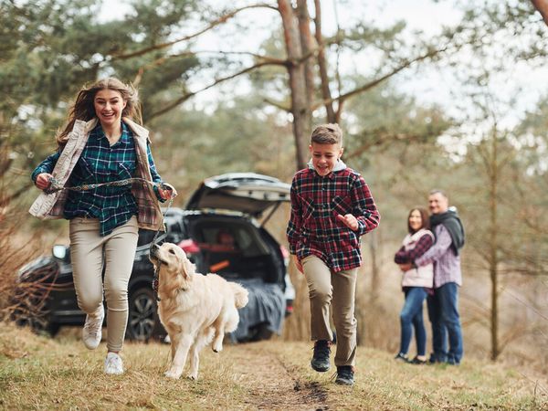 Familienzeit für Alle: 4 Tage Urlaub mit Vierbeiner in Bad Herrenalb, Baden-Württemberg inkl. Frühstück