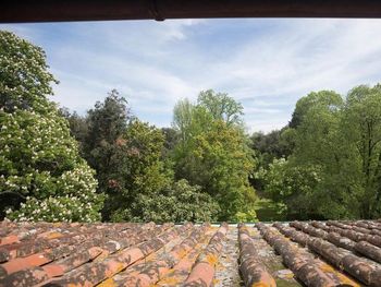 Italienische Eleganz - 4 Tage in Lucca mit Frühstück