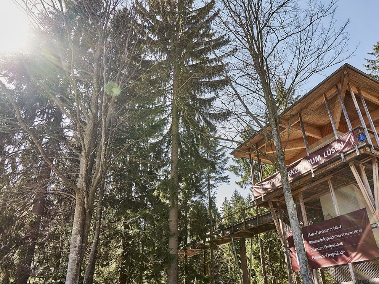 Frühlingserwachen Bayerischer Wald mit Baumwipfelpfad