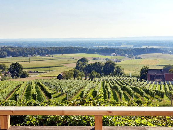 Weinberg Lodge Presshaus Klöch