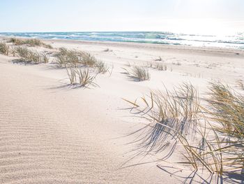 3 Tage Auszeit-Strand-Ostsee