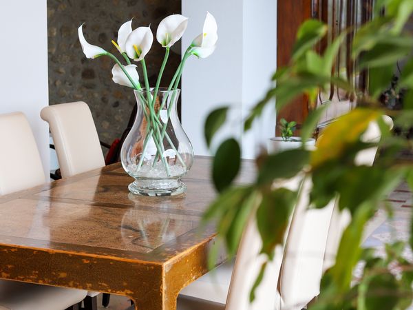 Aromen des Gardasees erleben - 7 Tage in Soiano del Lago, Lombardei inkl. Frühstück