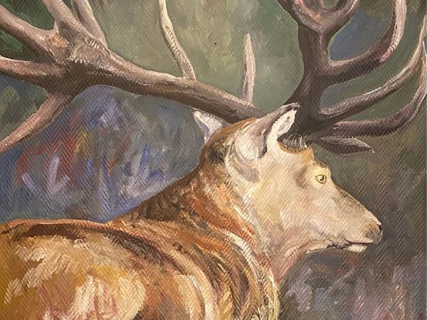 Adlersafari und Hirschbrunft im Müritz-Nationalpark in Waren (Müritz) Frühstück