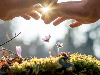 Die Große Auszeit im Schwarzwald