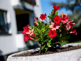 wunderschöne Vulkaneifel: 4 Tage mit Halbpension