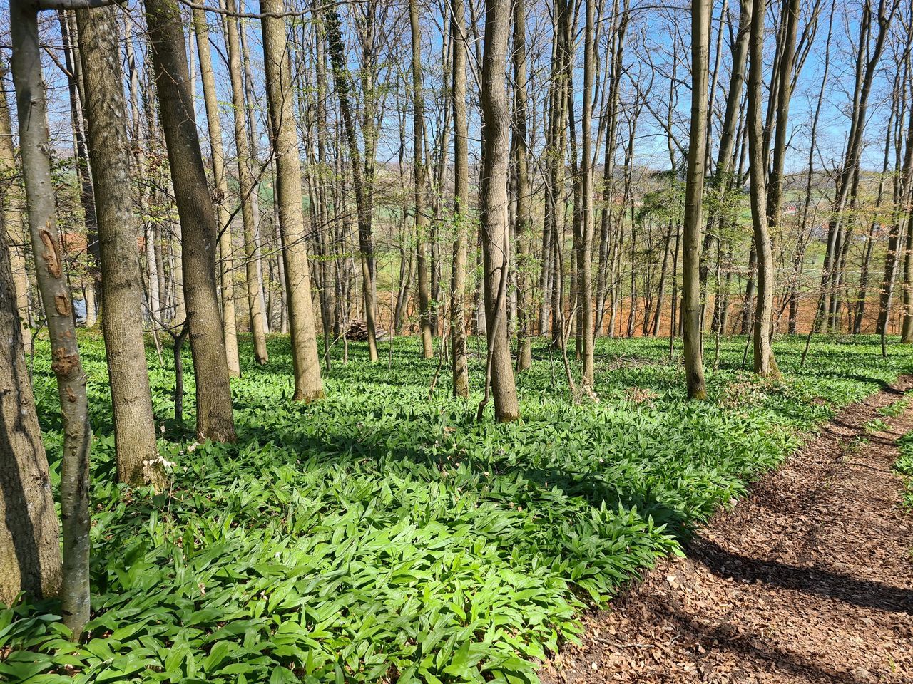 Auszeit für Wanderfreunde