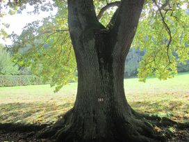 5 Tage Naturerlebnis Teutoburger Wald mit HP