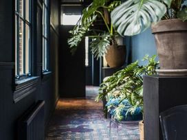 2 Tage im historischen Zentrum von Haarlem