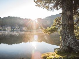 Auf zur Arnikablüte zwischen Steiermark & Kärnten