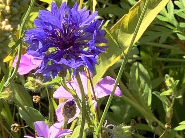 5 Tage Einfach mal raus in Unterreichenbach, Baden-Württemberg inkl. Frühstück
