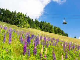 3 Tage Erholung in der Natur des Erzgebirges