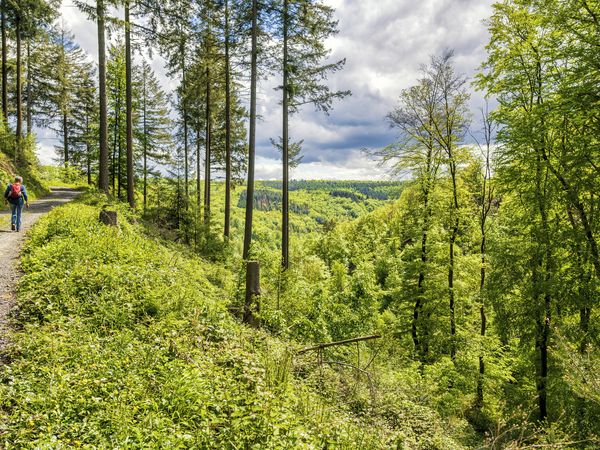 Wandererlebnis Westerwald – 5 Tage in Bad Marienberg (Westerwald), Rheinland-Pfalz inkl. Halbpension