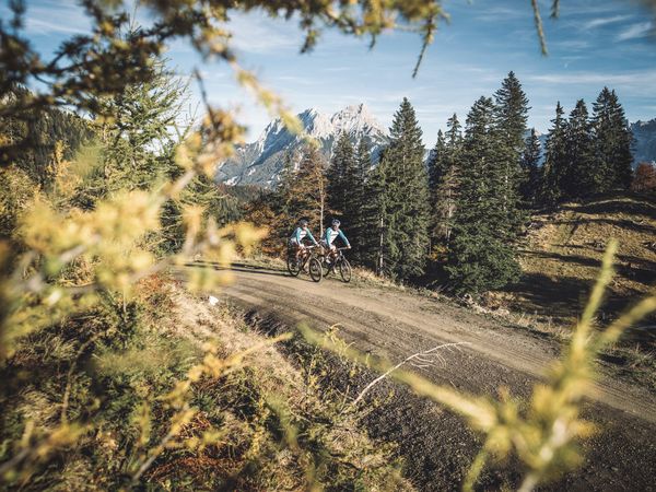 2 Tage Alpine Erholungsoase in den Ennstaler Alpen in Admont, Steiermark inkl. Halbpension