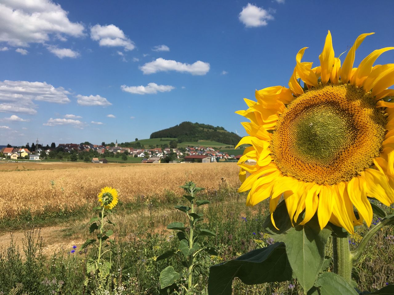 Auf in den Sattel - Radeln im Schwarzwald inkl.HP/5T