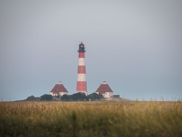 3 Tage FEINHEIMISCH an der NORDSEEKÜSTE in Westerhever, Schleswig-Holstein inkl. Halbpension