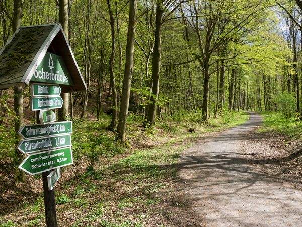 Rennsteig PUR: Entspannung, Relax & Aktiv sein in Schwarzatal Halbpension Plus