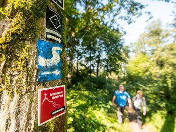 Westerwald: 3 Tage Wander-Special mit tägl. Dinner