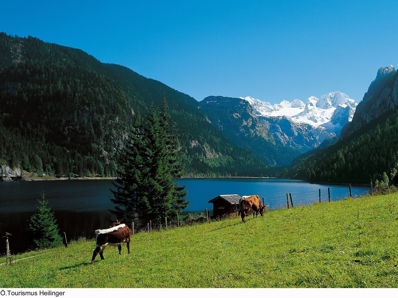 Vitalhotel Gosau
