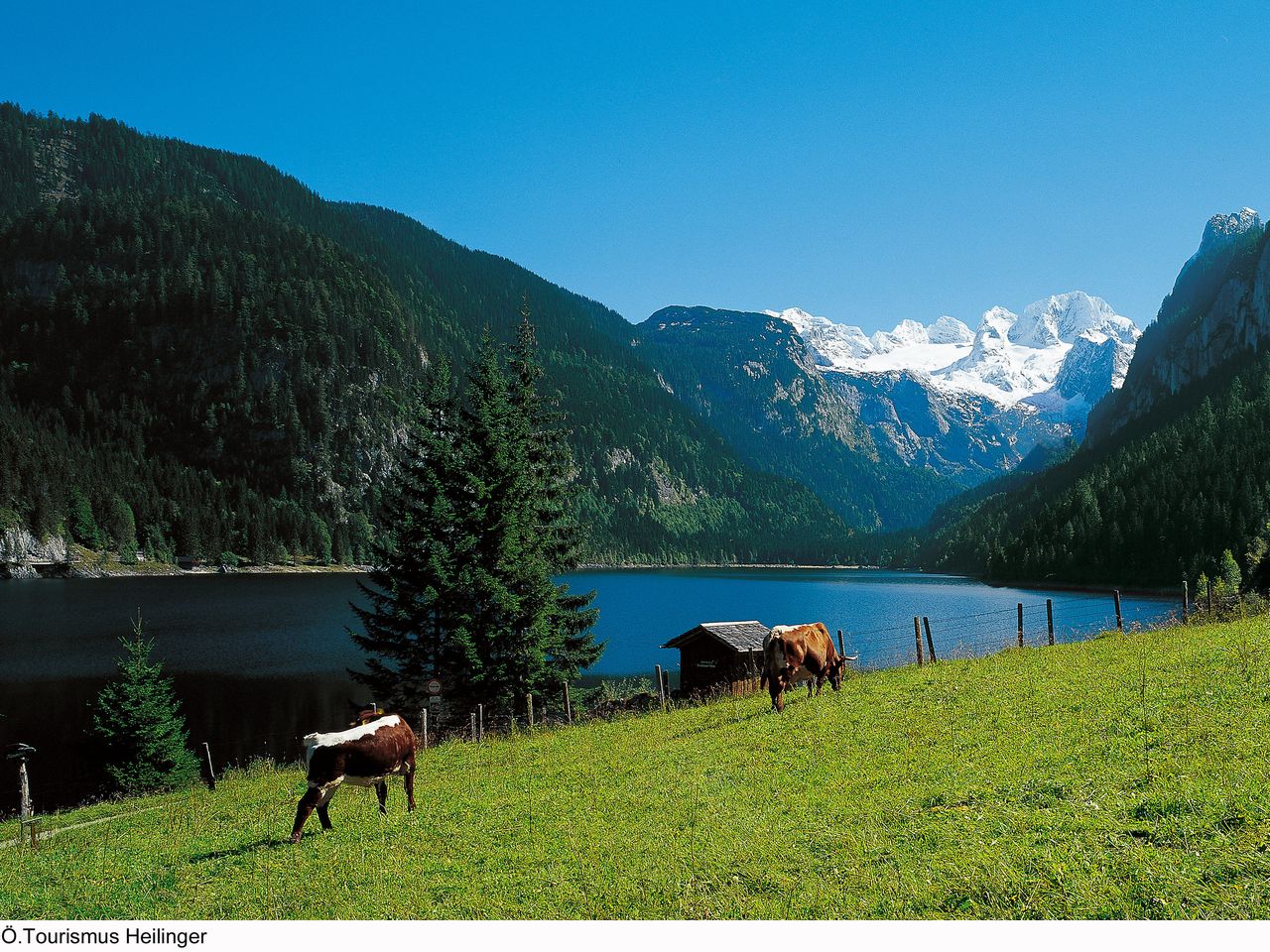 Erlebnis pur! - 7 Tage im Salzkammergut mit HP