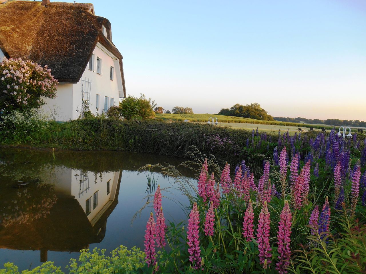 4 Tage Halbpension im Naturparadies auf Rügen
