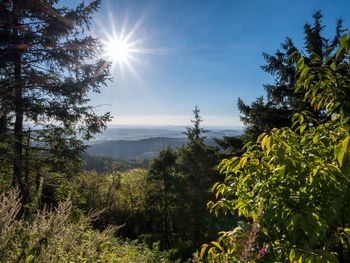 Kleine Auszeit im Harz