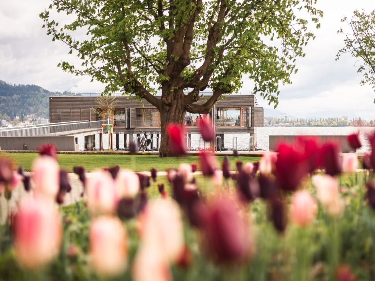 Ostern am Bodensee - Frühling im Seehotel | 4 Tage