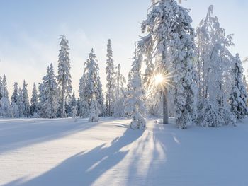 5 Tage Winter-Wonderland im Berchtesgadener Land