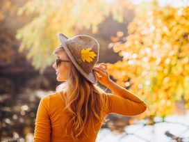 Herbstmomente - HP
