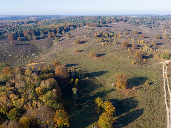 3 Tage Natururlaub Veluwe –Aktiv & entspannt genießen in Beekbergen Halbpension