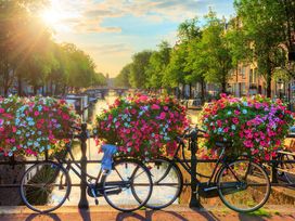 Bike & Bold - 3 Tage Amsterdam aktiv erkunden