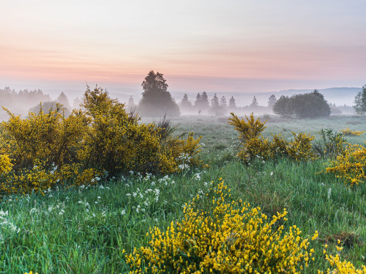 Erleben Sie Daaden im Westerwald I 5 Tage