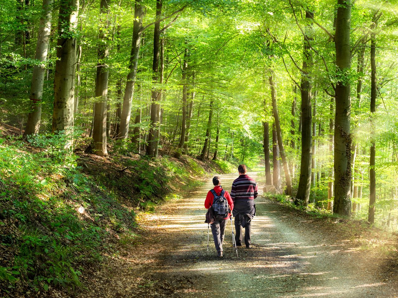 4 romantische Tage im verträumten  Odenwald