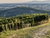 5=4 Wandern & Wein am Kaiserstuhl - inkl. Weinverkostung beim Winzer
